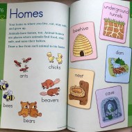 Brain Quest - Workbook 4-5